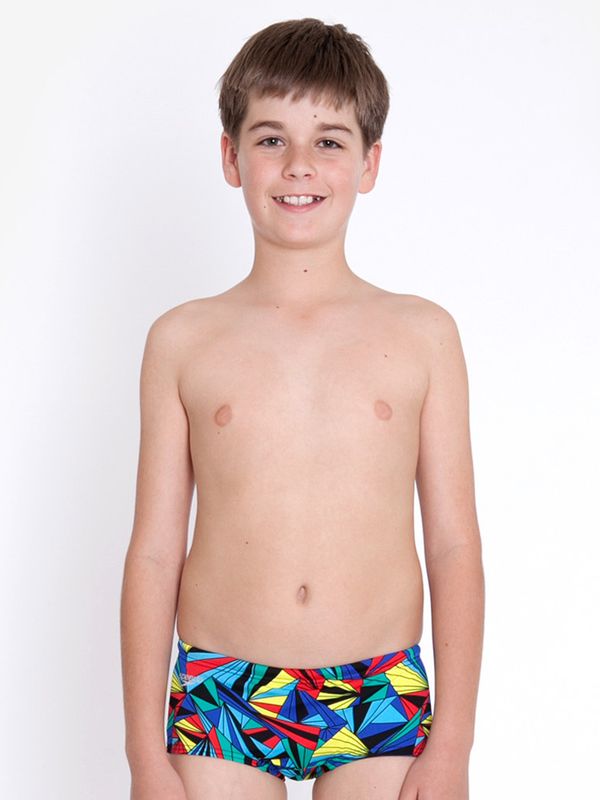 Speedo Labyrinth Boys Trunks