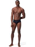 Speedo 13.5cm Briefs - Black