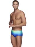 Speedo Trunks - Ombre Laguna