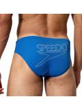 Speedo Mens Classic Logo Briefs - Turkish Sea