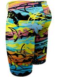 Q Swimwear Jammers - Baby Shark