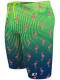 Q Swimwear Jammers - Party Flamingos