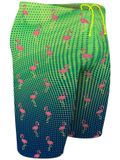 Q Swimwear Jammers - Party Flamingos