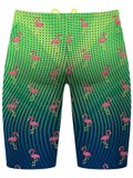 Q Swimwear Jammers - Party Flamingos