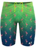 Q Swimwear Jammers - Party Flamingos