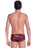 Zealous Fractured Boys Briefs 2