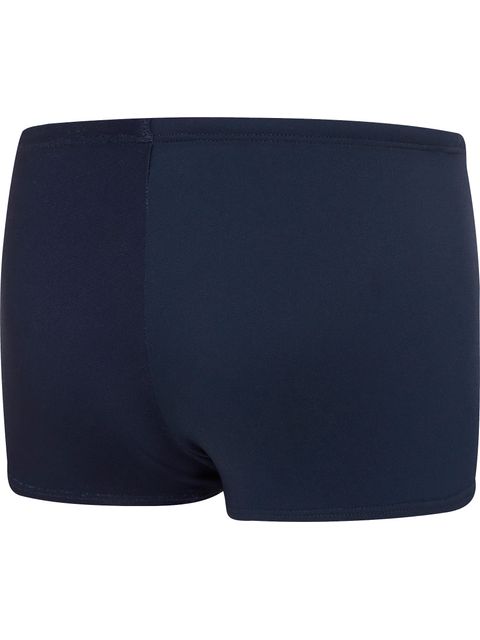 Speedo Aquashorts - Easy Stripe