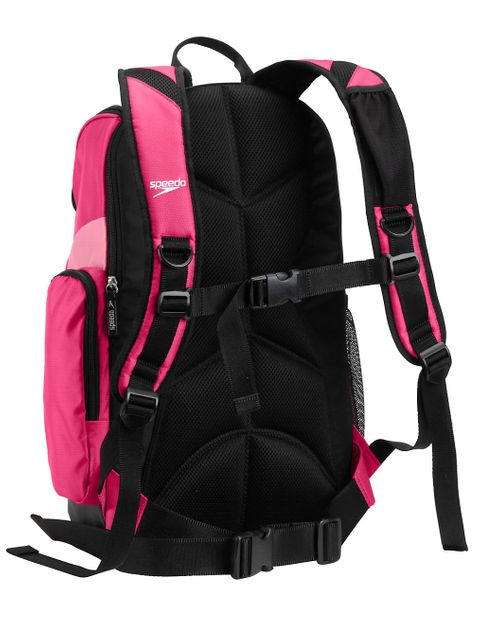 Speedo Teamster Backpack Fuchsia 2