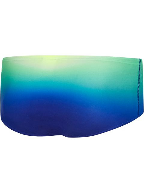 Speedo Trunks - Ombre Laguna