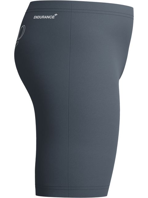 Speedo Classic Logo Jammer - Grey Lead