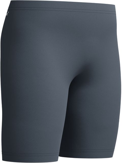 Speedo Classic Logo Jammer - Grey Lead