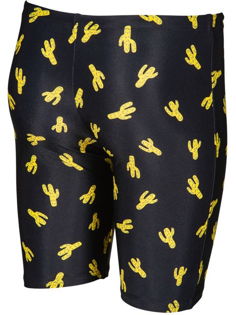 Arena Cactus Junior Boys Jammers