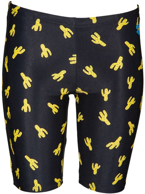 Arena Cactus Junior Boys Jammers