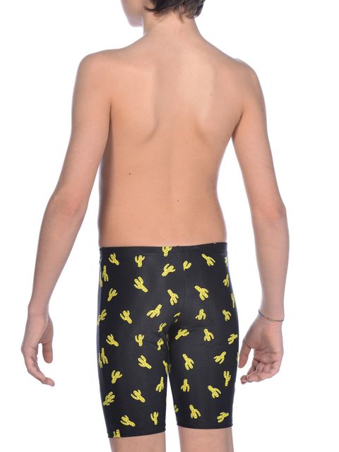Arena Cactus Junior Boys Jammers