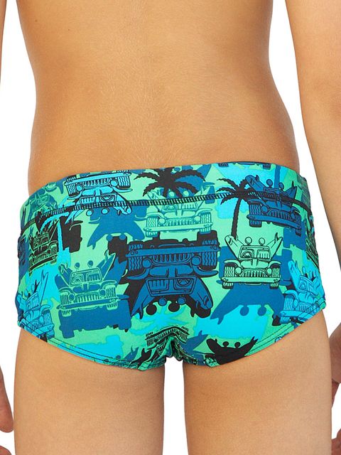 Hive Dune Buggy Boys Trunks Back