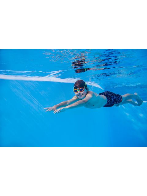 Zoggs Predator Junior Goggles - Blue Tint/Multi/Grey