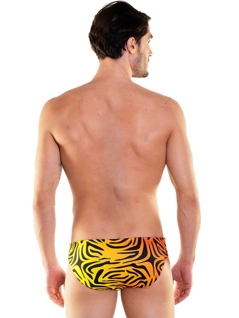 Odeclas Leo Briefs