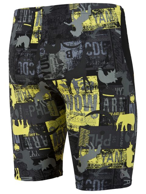 Arena Passport Mens Jammer