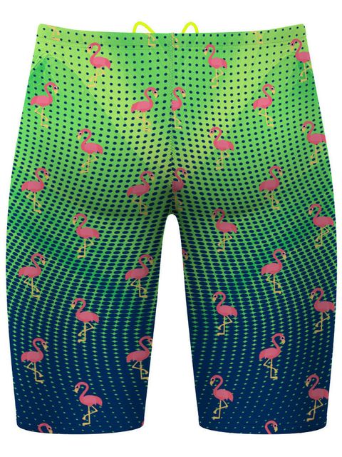 Q Swimwear Jammers - Party Flamingos