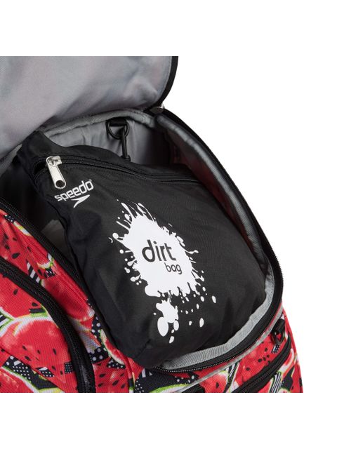 Speedo Teamster Backpack - Watermelon