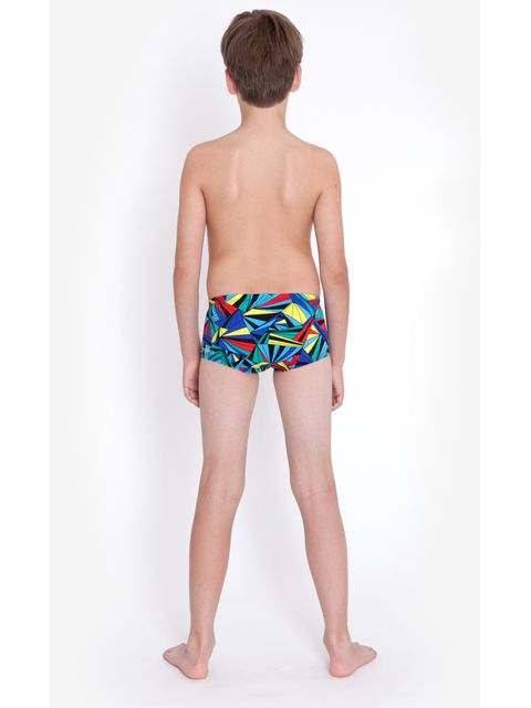 Speedo Labyrinth Boys Trunks