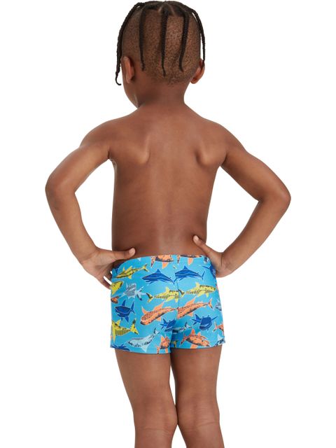 Zoggs Hip Racer - Paper Shark