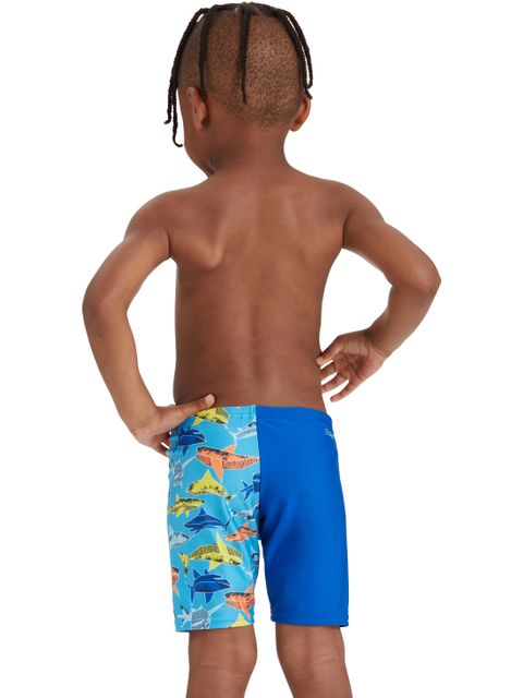 Zoggs Midi Jammers - Paper Shark