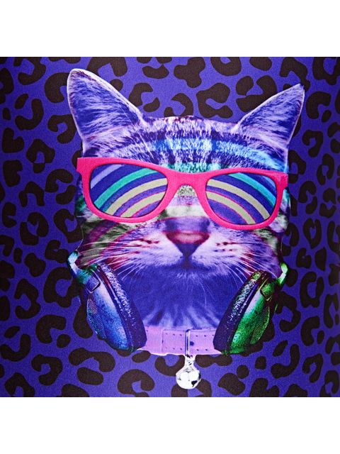 Zoggs Starback - Cats Meow