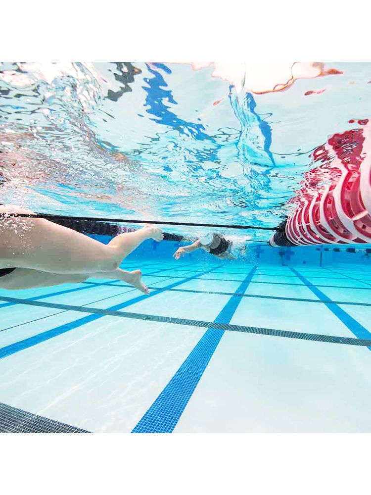 strechcordz stationary swim trainer