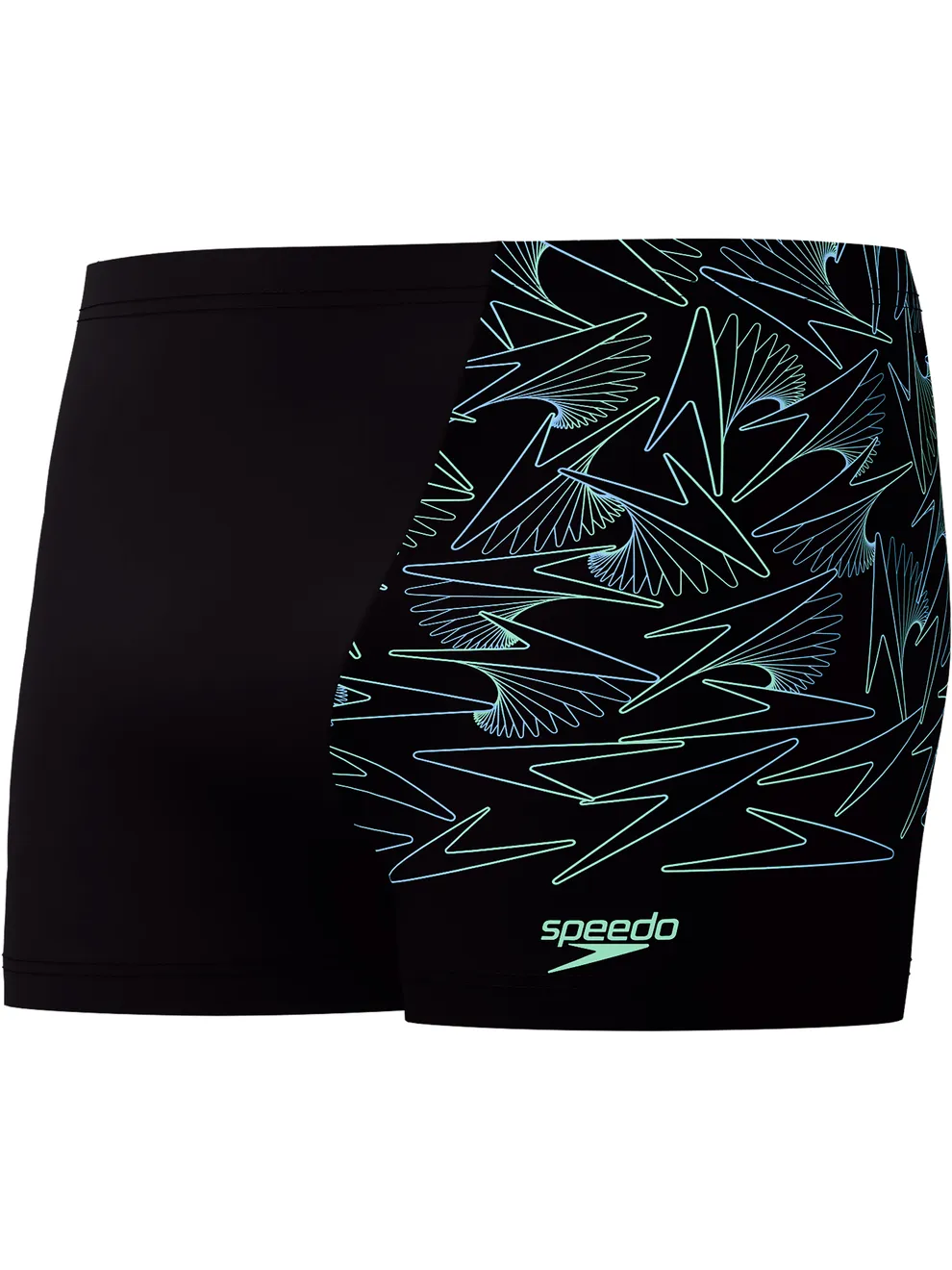 Hugo Speedo Speedo Swimwear