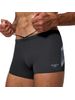 Speedo Mens Hyperboom Logo Aquashorts - Anthracite/Grey