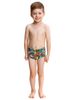Funky Trunks Power Pants Toddler Boys Trunks Front Full